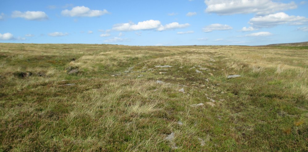 Roman Road walk Wheeldale Moor