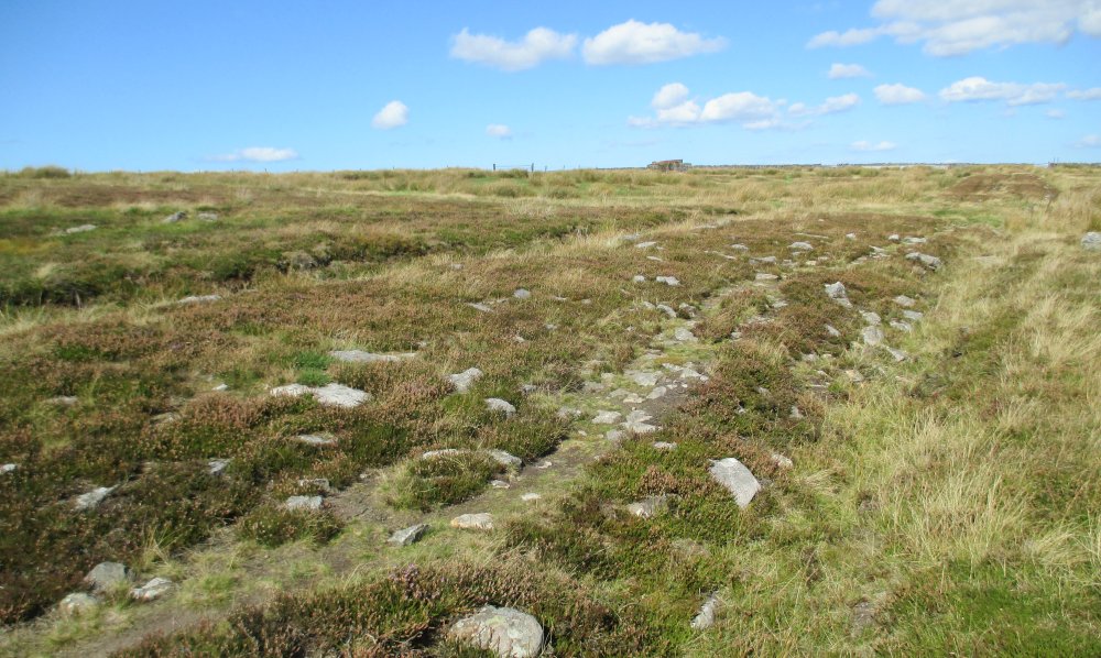 Roman Road walk Wheeldale Moor