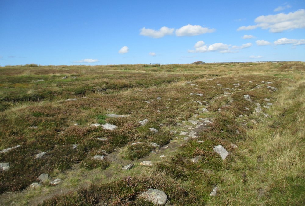 Roman Road walk Wheeldale Moor