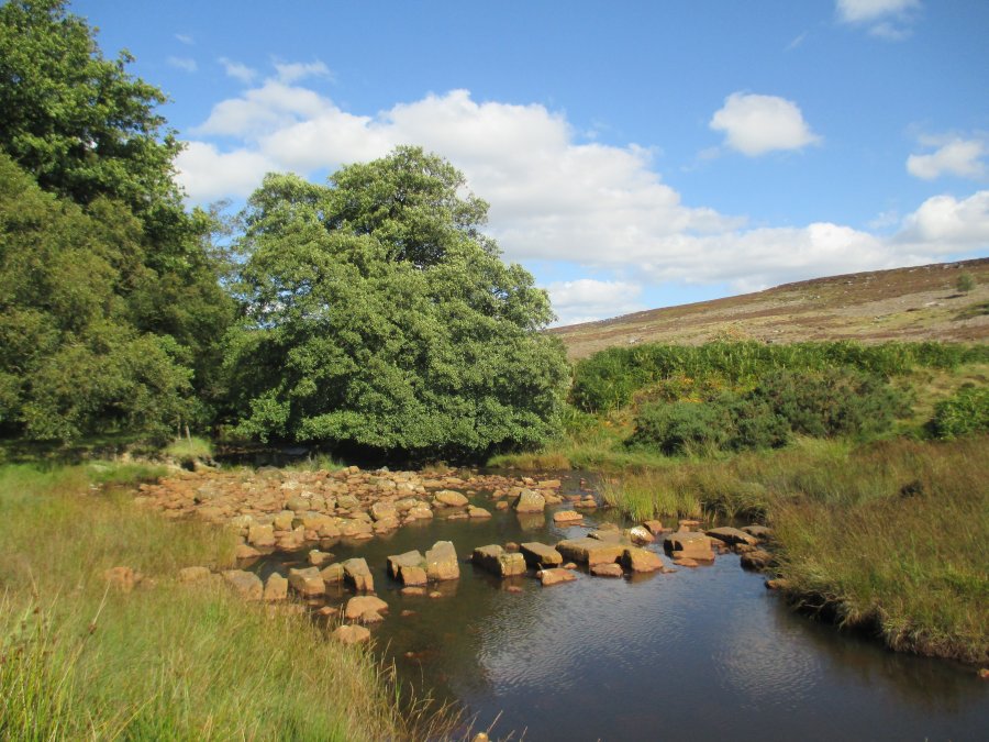 walking on Wheeldale Moor