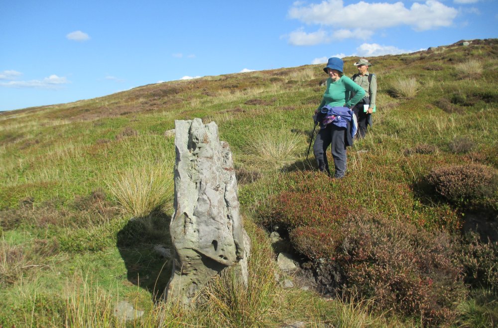 megalith - prehistoric standing stone near Goathland