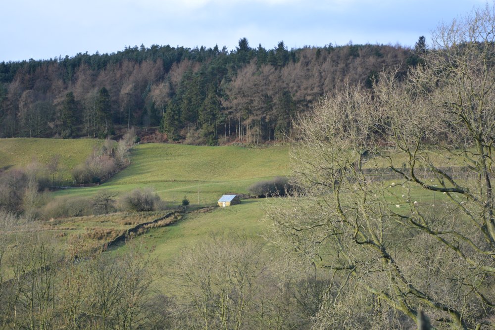 The Red House, Northdale, Rosedale