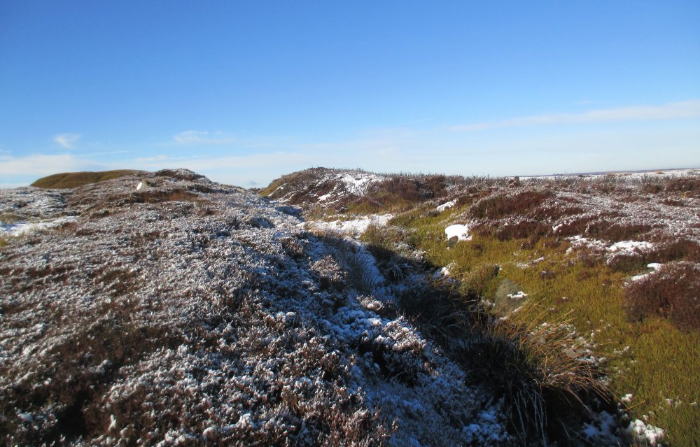 Danby Rigg