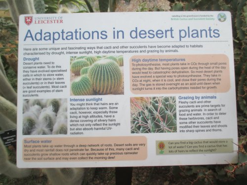 Leicester University Botanic Gardens