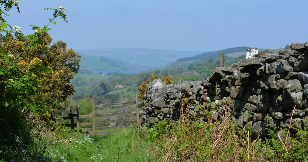 Pateley Bridge circular walk via Glasshouses & River Nidd
