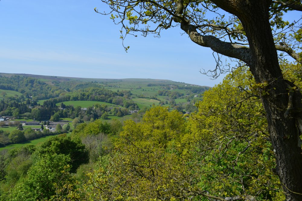 Pateley Bridge circular walk via Glasshouses & River Nidd
