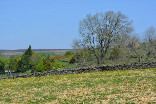 Pateley Bridge circular walk via Glasshouses & River Nidd