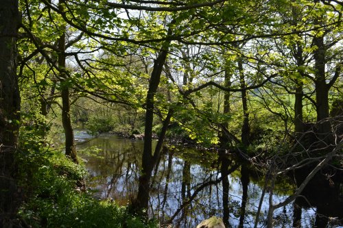 Pateley Bridge circular walk via Glasshouses & River Nidd