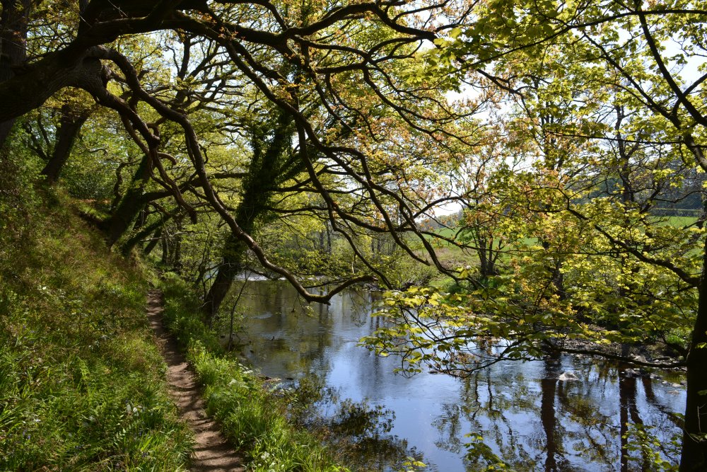 Pateley Bridge circular walk via Glasshouses & River Nidd