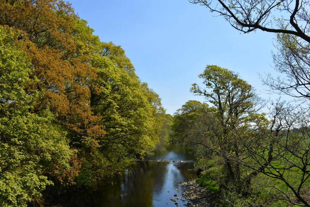 Pateley Bridge circular walk via Glasshouses & River Nidd