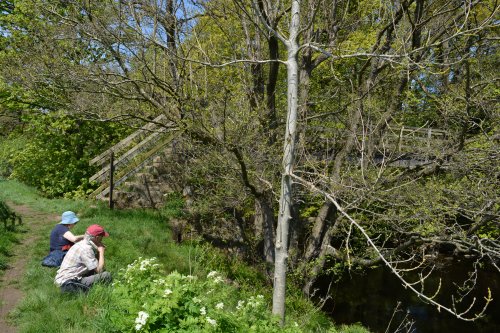Pateley Bridge circular walk via Glasshouses & River Nidd