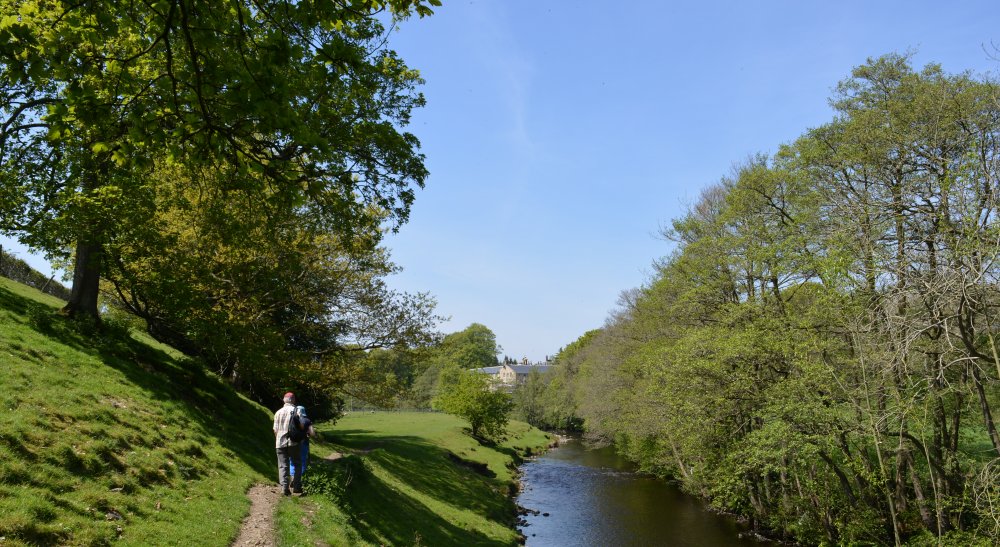 Pateley Bridge circular walk via Glasshouses & River Nidd