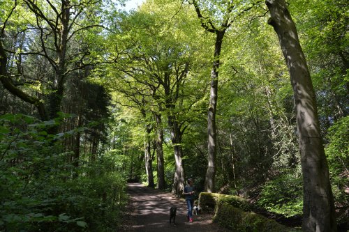 Pateley Bridge circular walk via Glasshouses & River Nidd