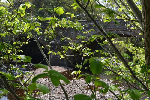 Pateley Bridge circular walk via Glasshouses & River Nidd