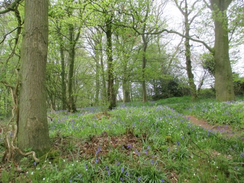 A walk from Moorsholm Village to Kilton Castle, industrial archaeology, Cleveland, north-east England