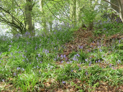 A walk from Moorsholm Village to Kilton Castle, industrial archaeology, Cleveland, north-east England