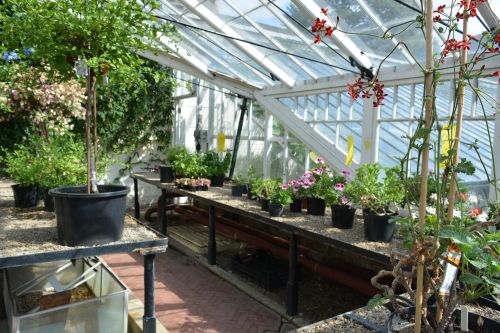 Mulgrave Estate Gardens, North Yorkshire