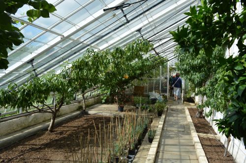 Mulgrave Estate Gardens, North Yorkshire