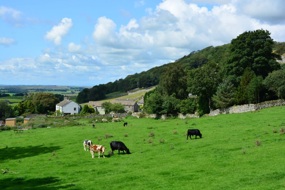 Looking east down into the tiny, but attractive village of Feizor circular walk, Yorkshire Dales