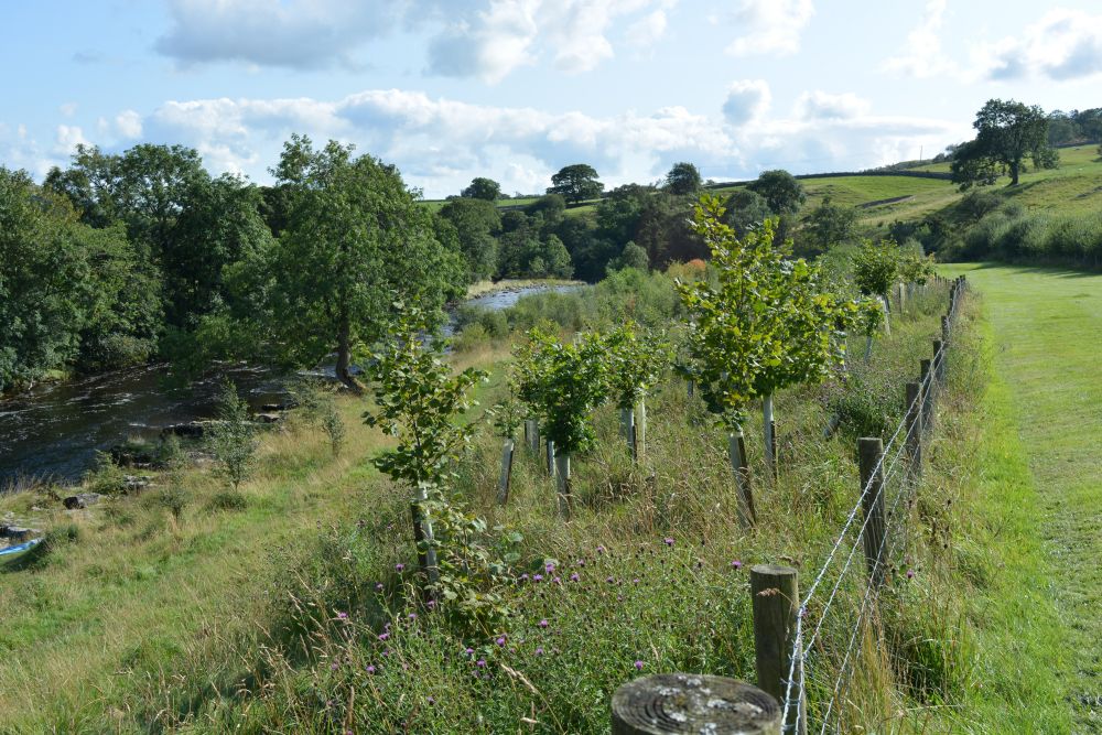  circular walk, Yorkshire Dales