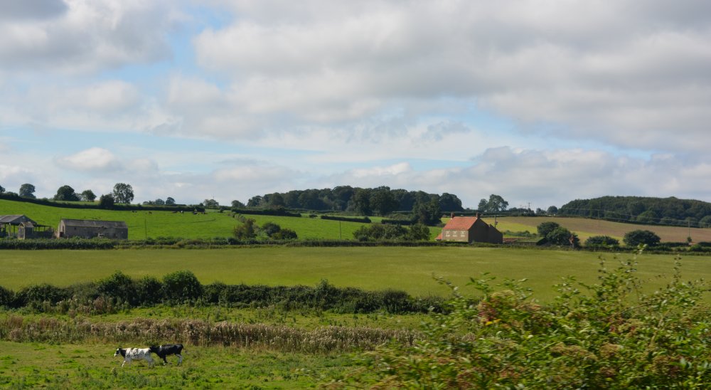 scenery near Bedale Wensleydale Railway, North Yorkshire