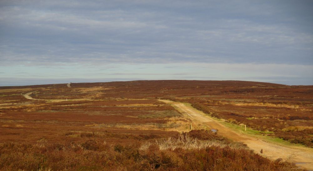 The wild broad, but lonely track along the ridge of Rudland Rigg, above Farndale and Bransdale, North Yorkshire, England