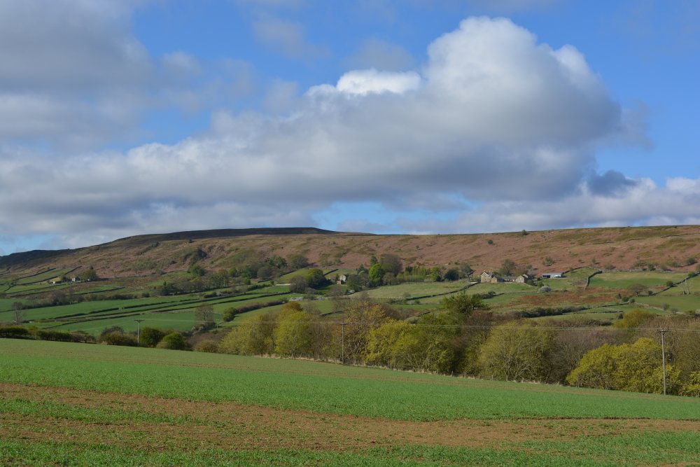 View of Brown Hill on Castleton Rigg from near St Hilda's Church, Danby Dale, North Yorkshire, England