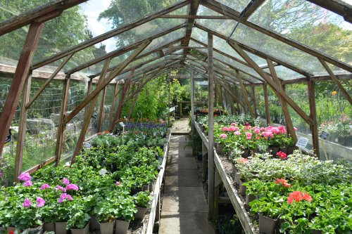 Poets Cottage Shrub Nursery, Lealholm village, North Yorkshire, England