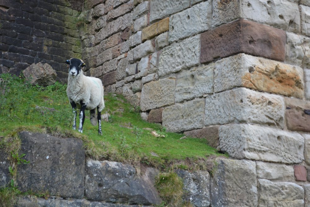Rosedale Circuit Walk, North Yorkshire, England