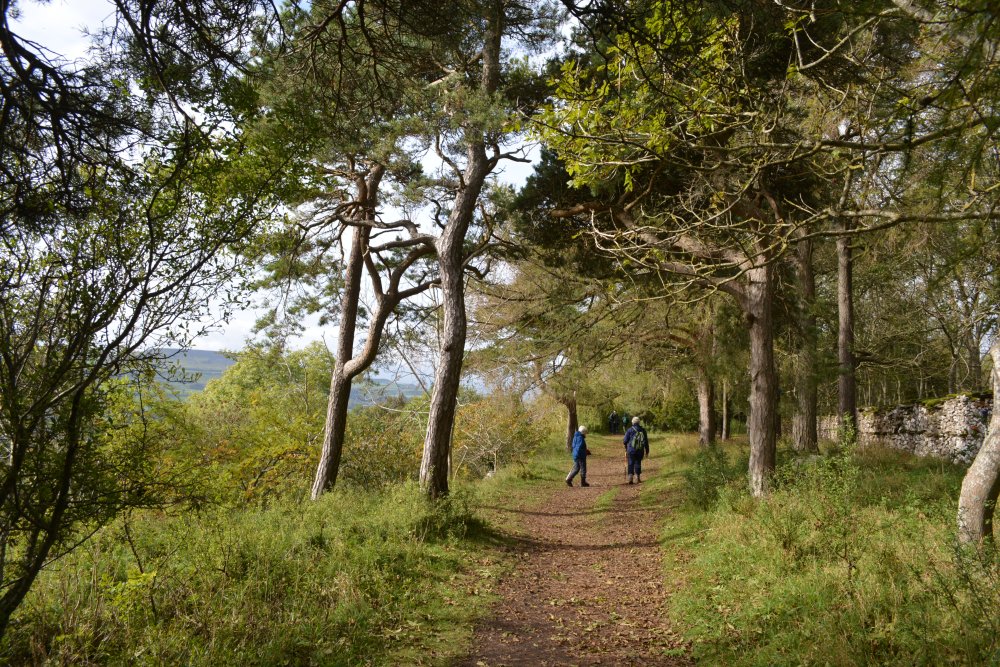 good track along the top of the limestone escarpment Leyburn Shawl Circular walk, North Yorkshire, England