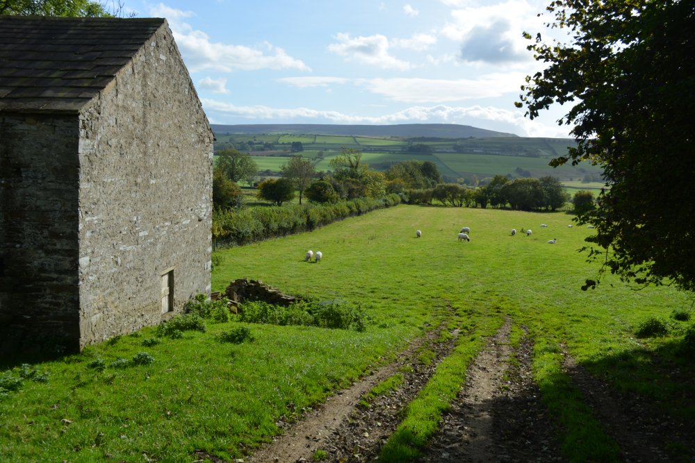 Leyburn Shawl Circular walk, North Yorkshire, England