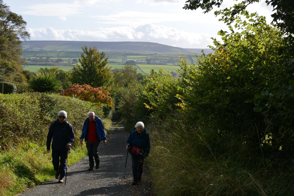Leyburn Shawl Circular walk, North Yorkshire, England