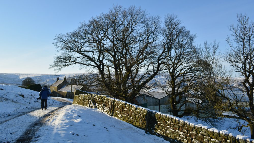 wintry road and track to Dale Head Farm, Westerdale Side, North Yorkshire, England