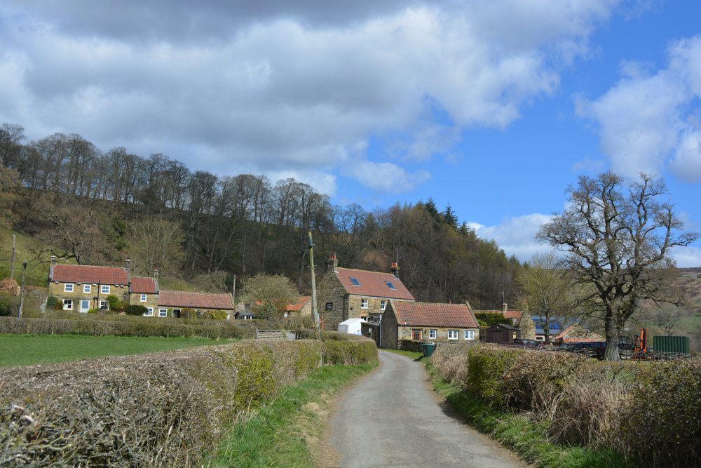 village of Church HousesDaffy Walk, Farndale, North Yorkshire, England