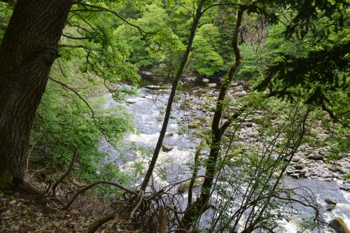 circular walk Cotherstone Romaldkirk River Tees Co. Durham, England
