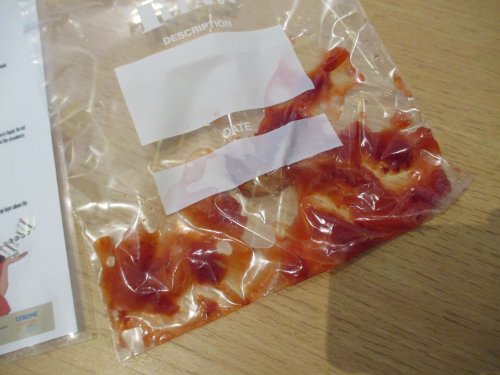 How to extract DNA from a strawberry