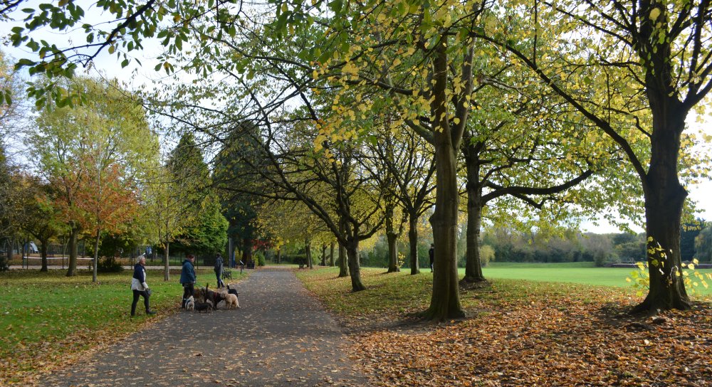 Dog walkers and Knighton Park in Autumn