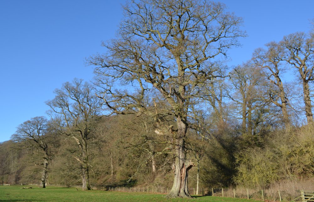 walking around the Duncombe House Park Estate