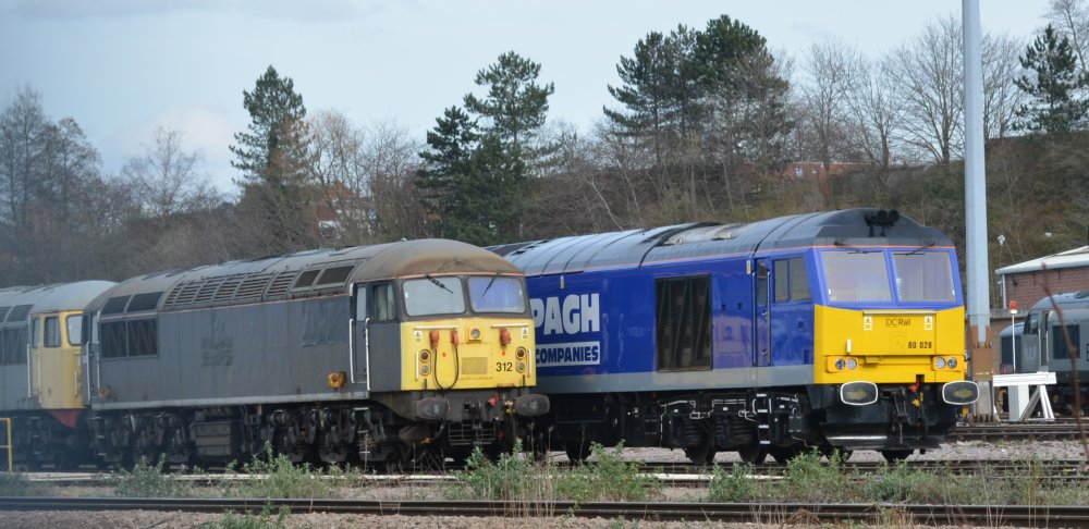 Class 60 diesel-electric freight locomotive 66028 yellow and blue livery of the CAPPAGH Group of Companies DC Rail Leicester L.I.P. Depot UK Rail Leasing Carriage Sidings