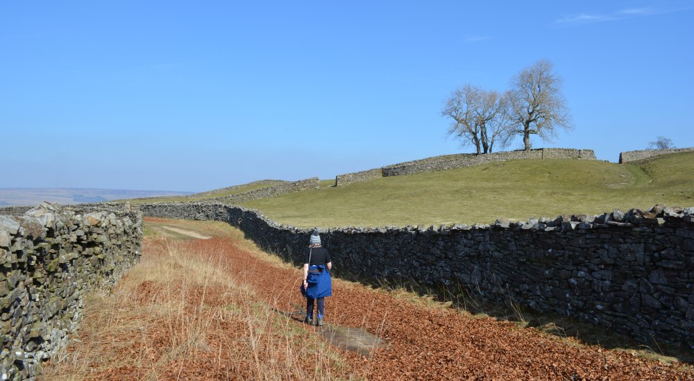 , West Burton, Wensleydale, North Yorkshire