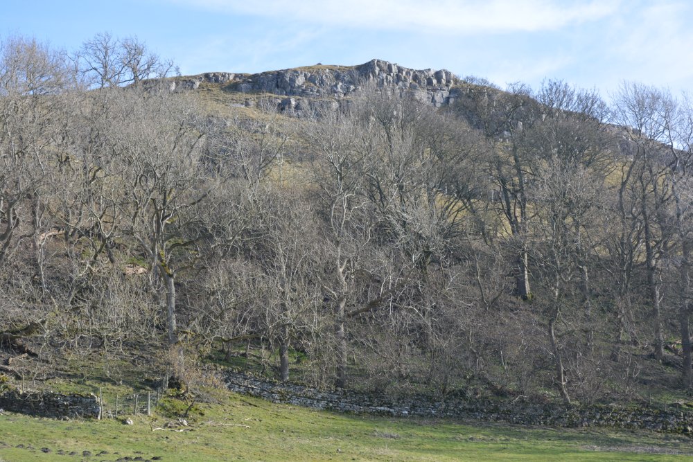 Looking up to Morpeth Scar from near the junction rejoining the Morpeth Gate path., West Burton, Wensleydale, North Yorkshire