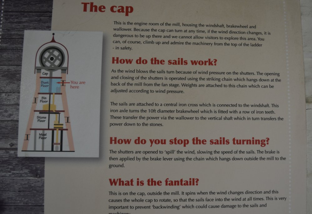 Explaining the workings of the cap of  Holgate Windmill, York