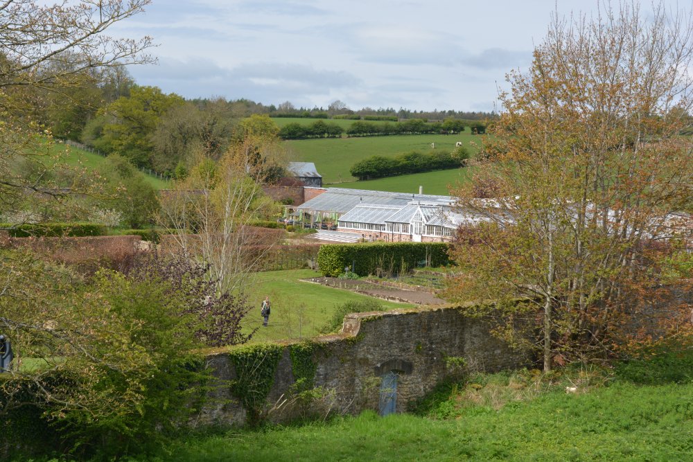 Views of the walled garden and cafe from Helmsley Castle, North Yorkshire