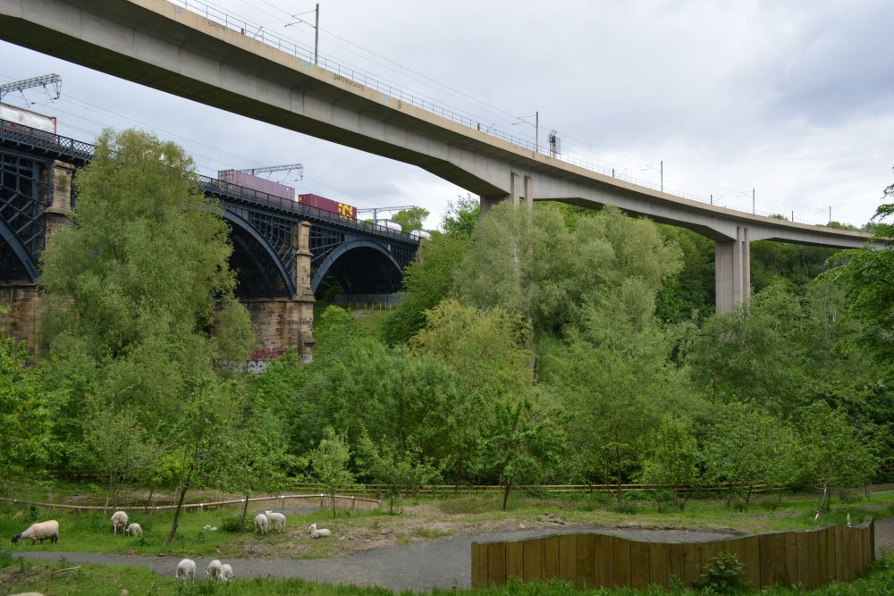 The Byker Metro bridge carries the Metro line from Manors Metro station to Byker Metro station over the River Ouseburn and valley