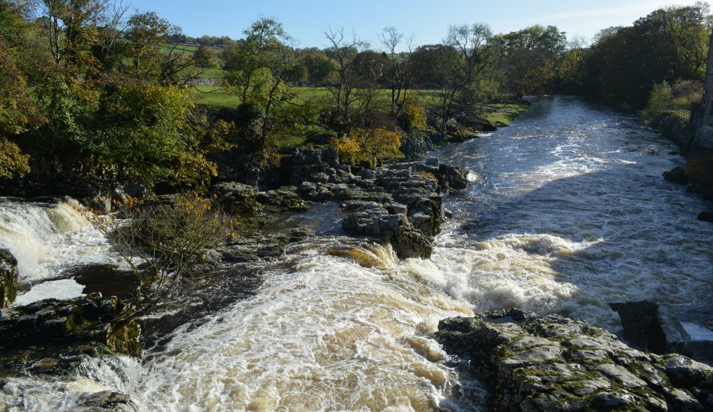 Circular walk through Grass Wood and River Wharfe from Grassington, Wharfedale, North Yorkshire Dales National Park, England