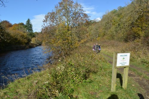 Circular walk through Grass Wood and River Wharfe from Grassington, Wharfedale, North Yorkshire Dales National Park, England