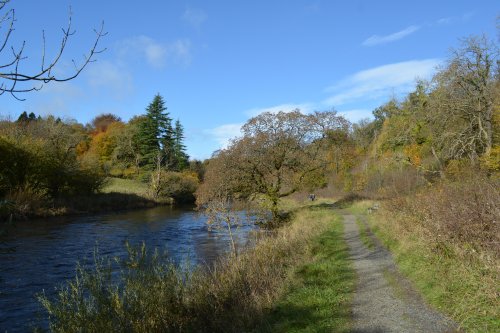 Circular walk through Grass Wood and River Wharfe from Grassington, Wharfedale, North Yorkshire Dales National Park, England