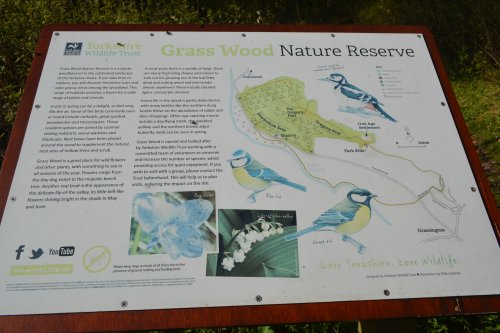 Circular walk through Grass Wood and River Wharfe from Grassington, Wharfedale, North Yorkshire Dales National Park, England