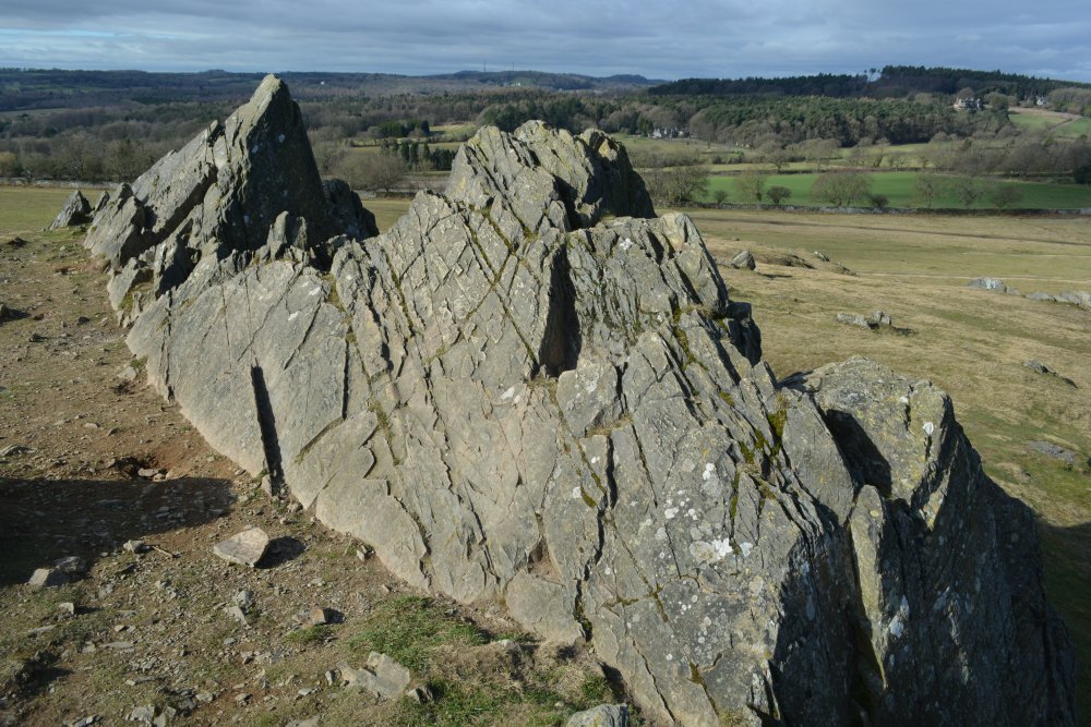 Bradgate Park, Leicester
