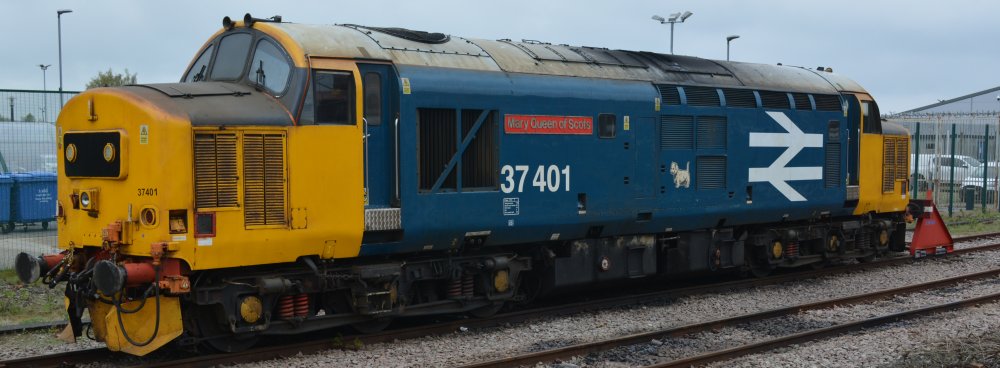 DRS operated Class 37/4 diesel locomotive 37401 MARY QUEEN OF SCOTS in blue large logo livery and yellow cab sides, (ex ScotRail - note the little 'Scottie' dog icon), parked at York Station (April 2023)